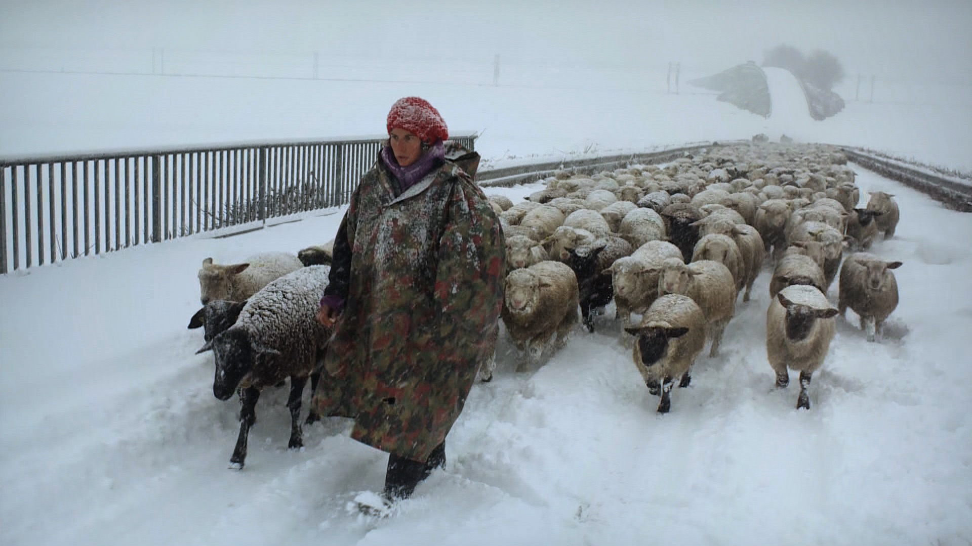 Image from Hiver nomade